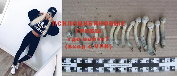 ALPHA PVP Нягань