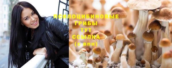 jwh Няндома