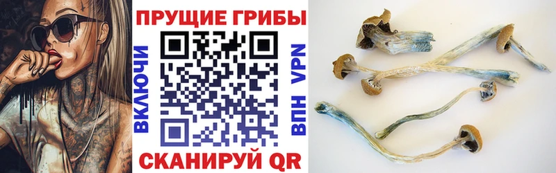 Псилоцибиновые грибы MAGIC MUSHROOMS  где купить наркоту  Владивосток 